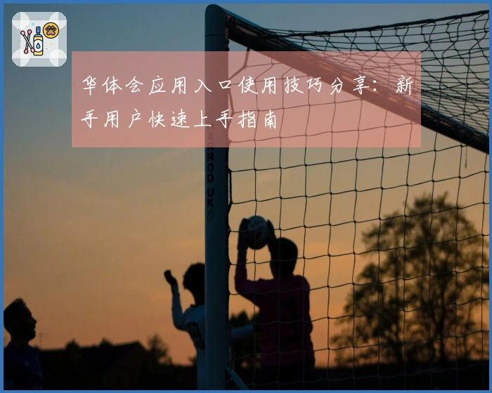 华体会应用入口使用技巧分享：新手用户快速上手指南